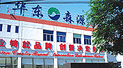 播放视频宣传片